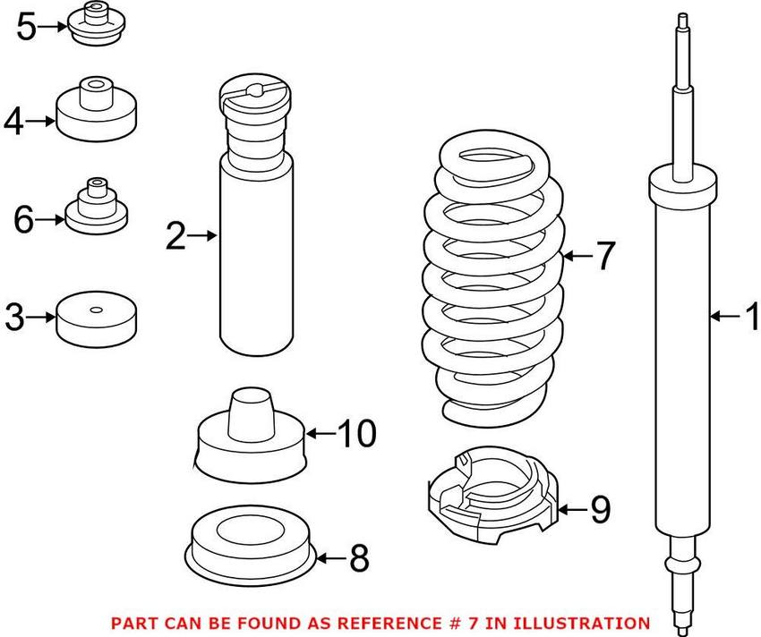 Coil Spring - Rear